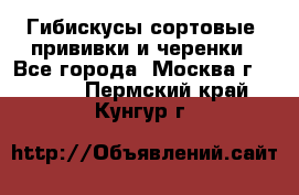 Гибискусы сортовые, прививки и черенки - Все города, Москва г.  »    . Пермский край,Кунгур г.